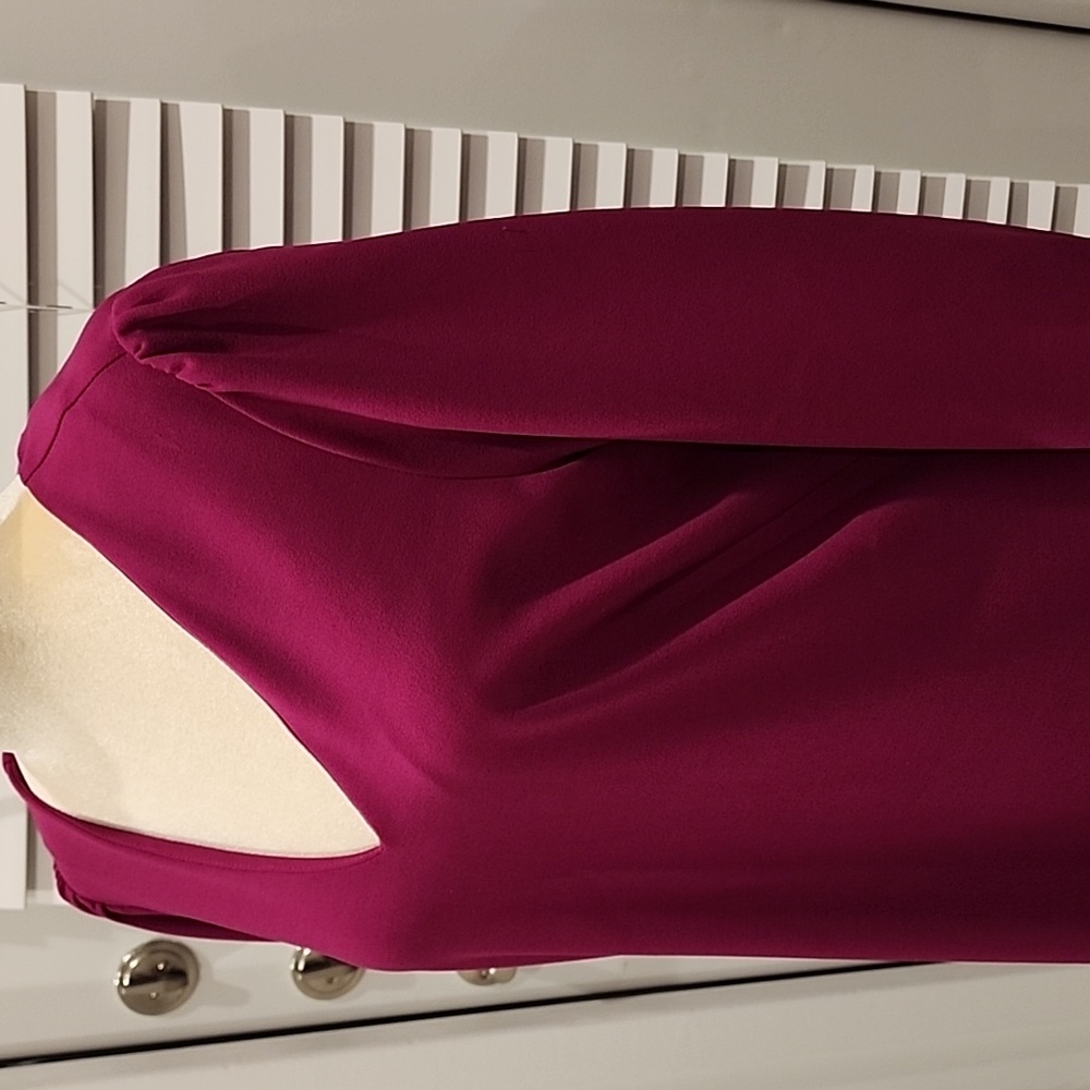 ALEXIA ADMOR Shift Dress, XL, Raspberry - Picture 5 of 14
